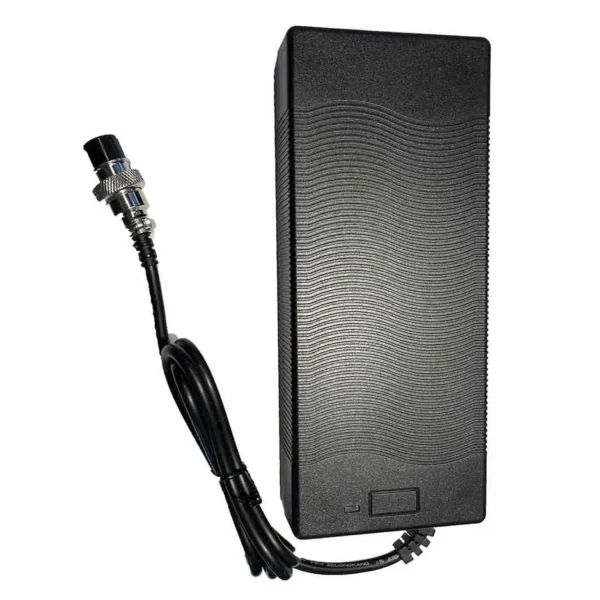 standard charger dualtron.jpg