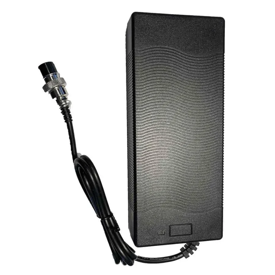 standard charger dualtron.jpg